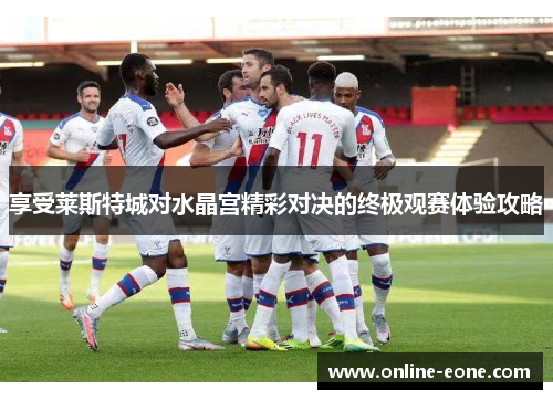 享受莱斯特城对水晶宫精彩对决的终极观赛体验攻略