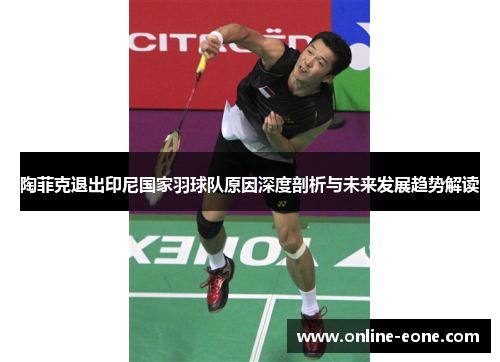 陶菲克退出印尼国家羽球队原因深度剖析与未来发展趋势解读